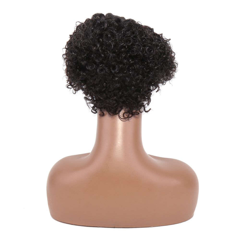 Human Hair Pixie Curly Side Part 13x4x1 T-Part Lace Wig Density Natural Black Color Jerry Curly Pre Plucked with Baby Hair Glueless