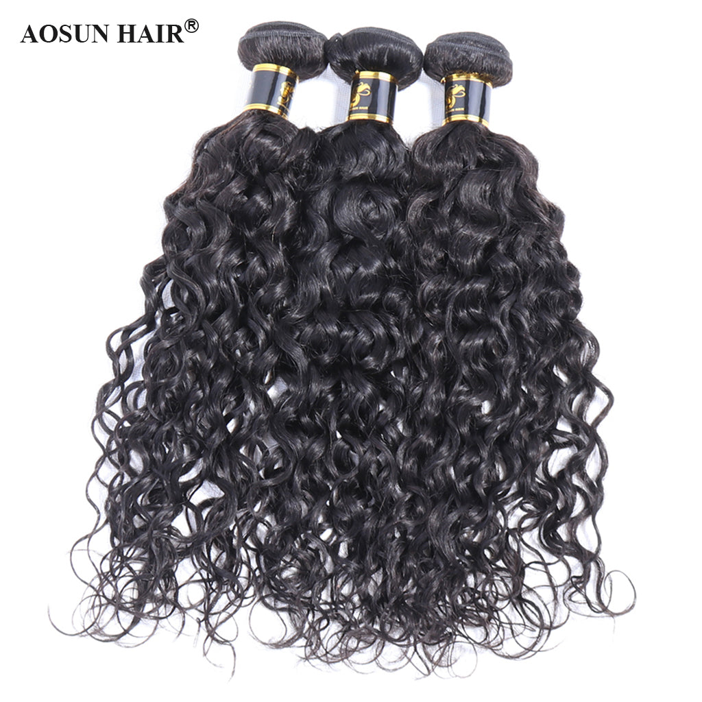 Aosun Hair Water Curly Bundles With Closure 100% Human Hair 3 Bundles Hair Free Shipping