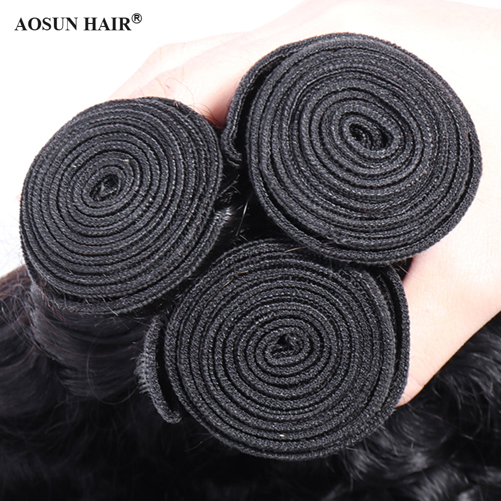 Aosun Hair Water Curly Bundles With Closure 100% Human Hair 3 Bundles Hair Free Shipping