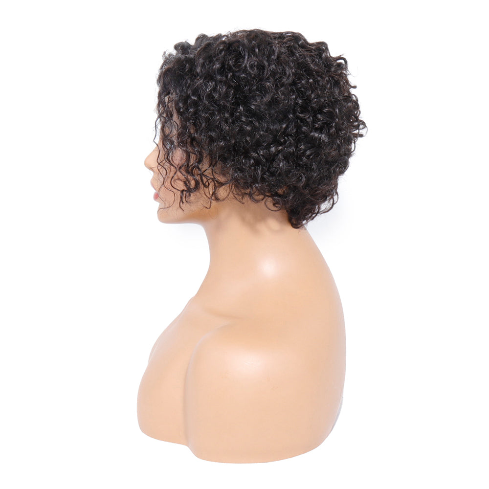 T-Part Lace Wig Pixie Cut Wig Short Curly Human Hair Wigs for Women Soft and Fluffy Curly Wig Pre Plucked Hairline