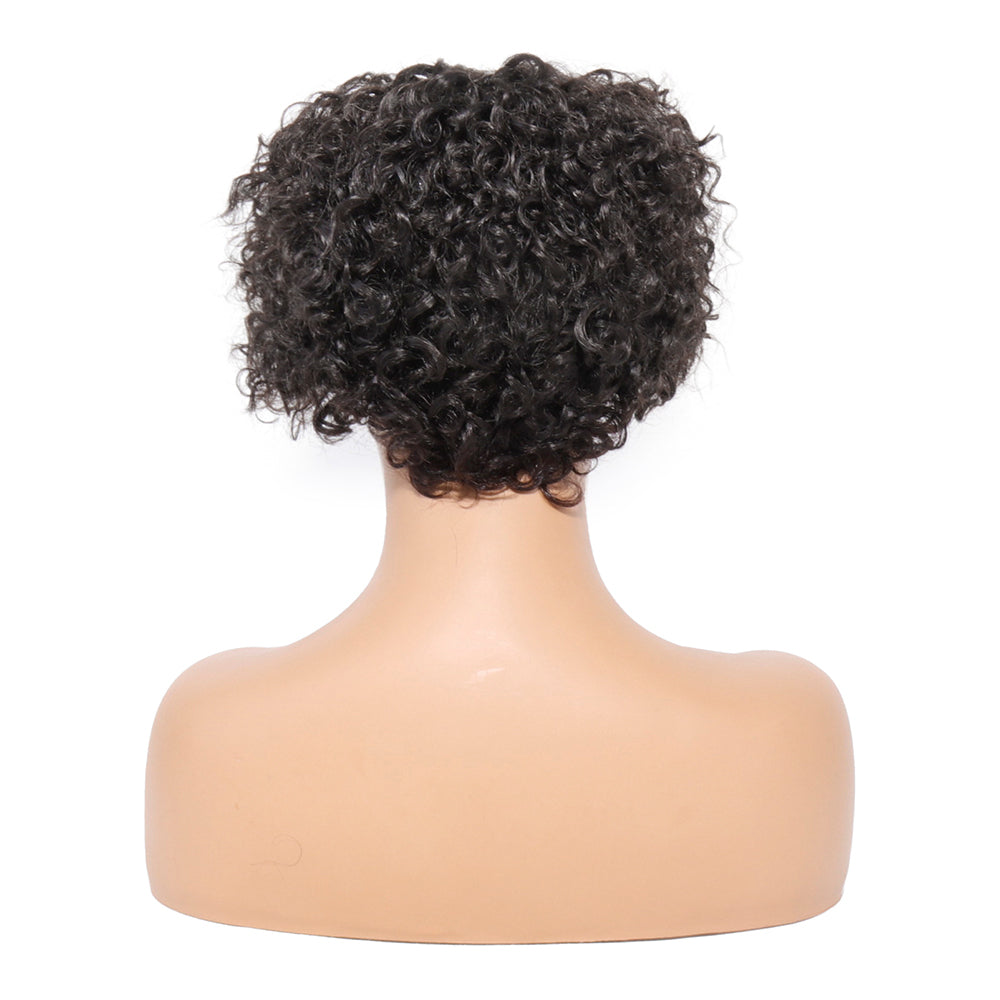 T-Part Lace Wig Pixie Cut Wig Short Curly Human Hair Wigs for Women Soft and Fluffy Curly Wig Pre Plucked Hairline